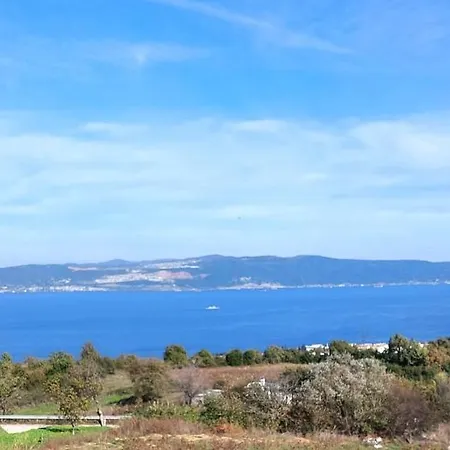 Patya Domek letniskowy Derekoy (Kocaeli)